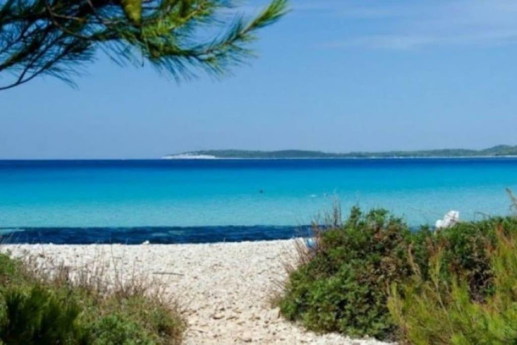 Apartment Lordanic Zaglav, Dugi otok Esterno foto